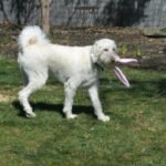 EasterMax2