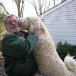 dogboardingnj